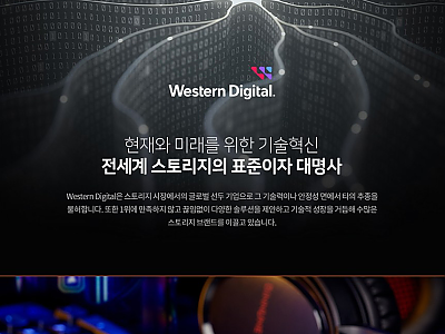 WD BLACK SN850X M.2 NVMe SSD